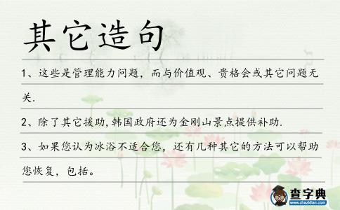 其它造句
