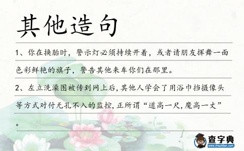 其他造句