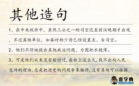 其他造句