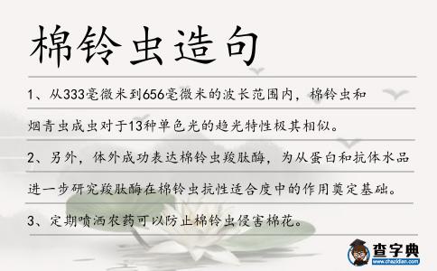棉鈴蟲造句
