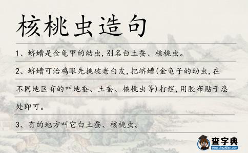 核桃蟲造句