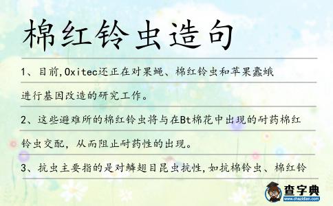 棉紅鈴蟲造句