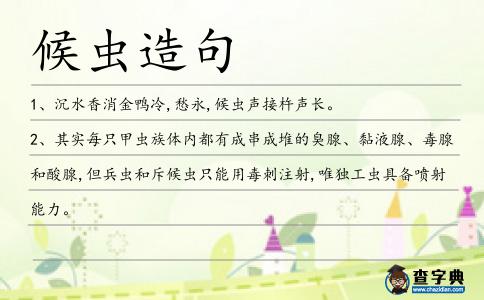 候蟲造句