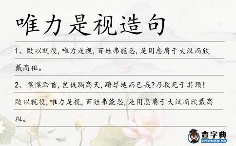 唯力是視造句