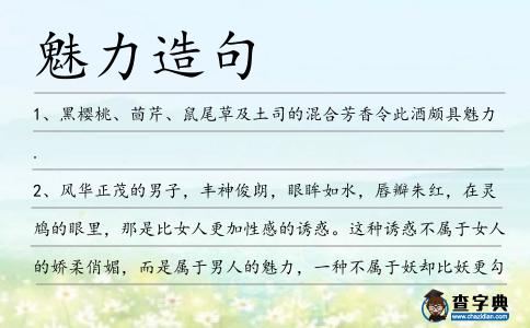 魅力造句