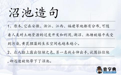 沼池造句