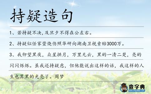 持疑造句