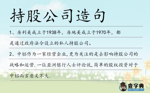 持股公司造句