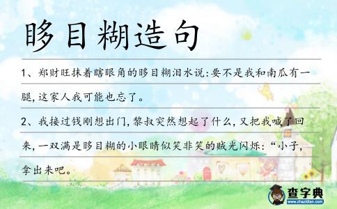 眵目糊造句
