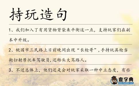 持玩造句