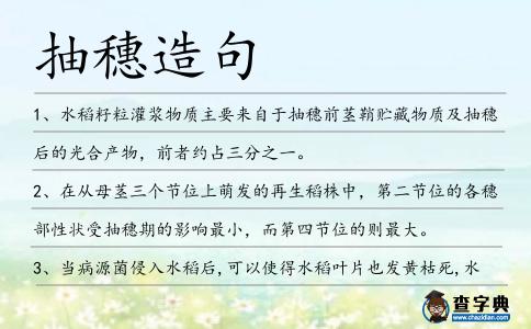 抽穗造句