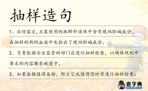 抽樣造句
