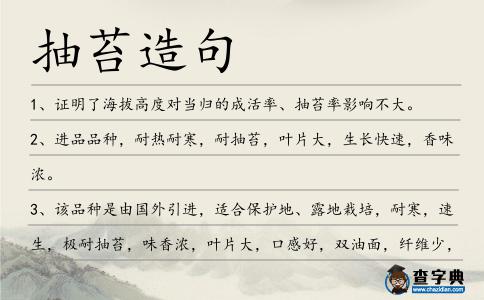 抽苔造句