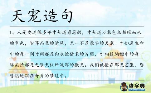 天寵造句