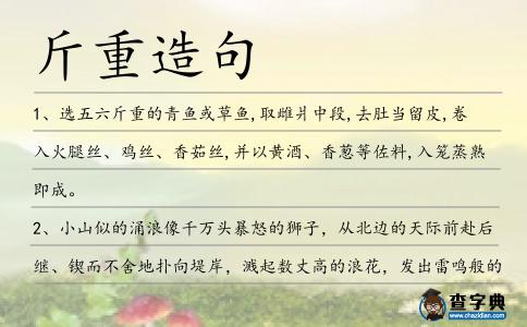 斤重造句