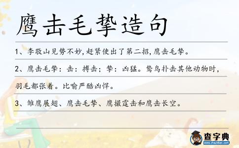 鷹擊毛摯造句