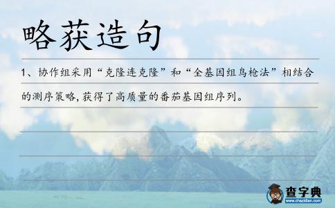 略獲造句