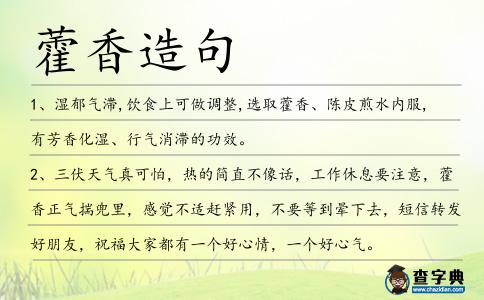 藿香造句