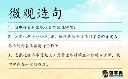 微觀造句