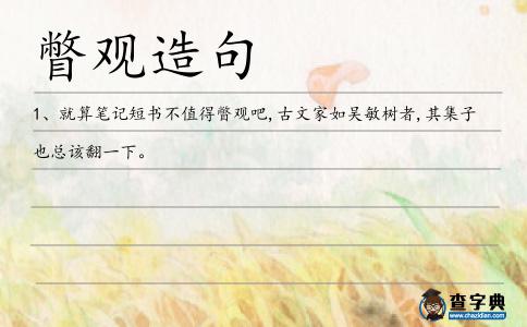 瞥觀造句