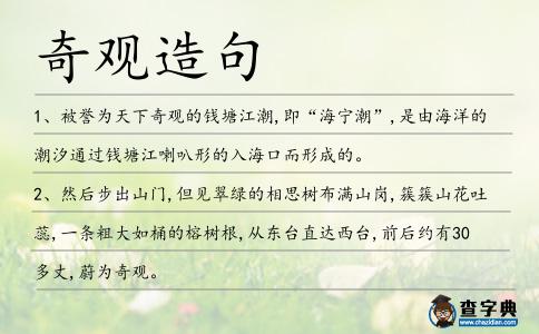 奇觀造句