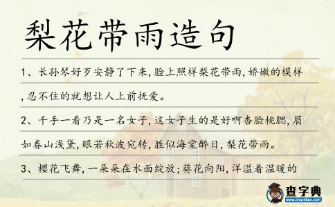 梨花帶雨造句