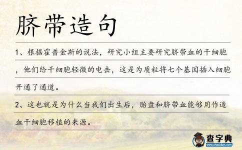 臍帶造句