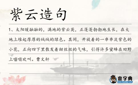 紫云造句