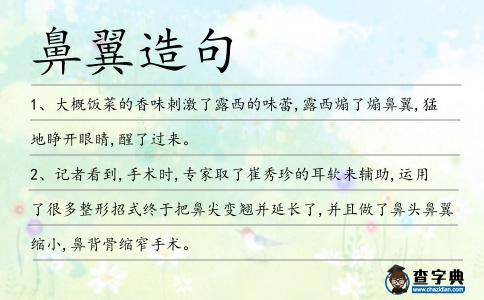 鼻翼造句