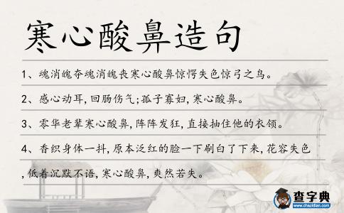 寒心酸鼻造句