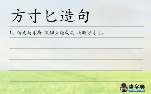 方寸匕造句