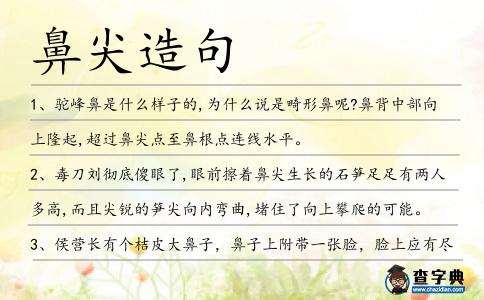 鼻尖造句