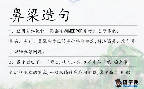 鼻梁造句