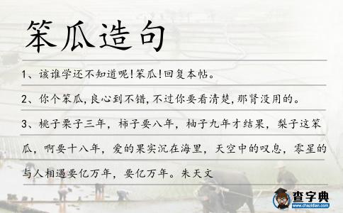 笨瓜造句