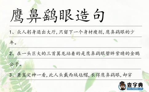 鷹鼻鷂眼造句