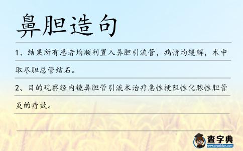 鼻膽造句