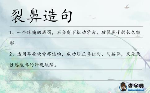裂鼻造句