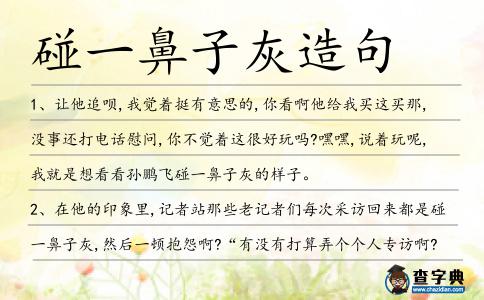 碰一鼻子灰造句