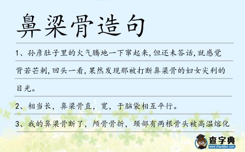 鼻梁骨造句