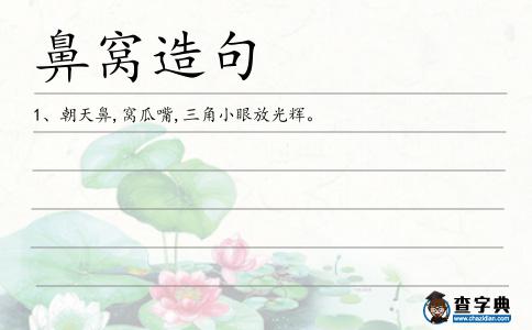 鼻窩造句