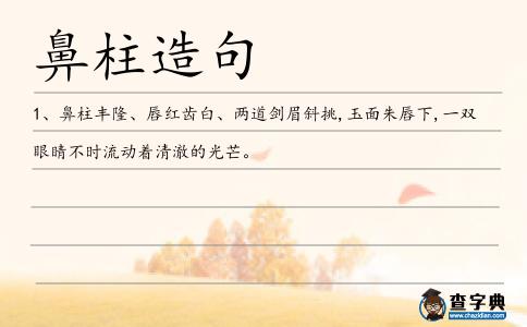 鼻柱造句