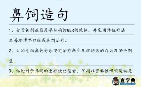 鼻飼造句