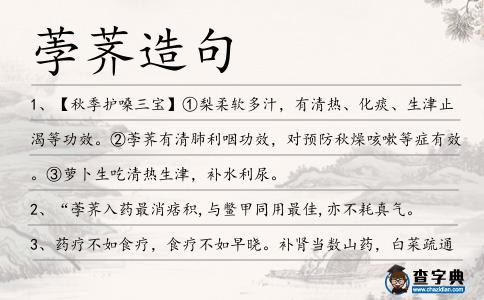 荸薺造句
