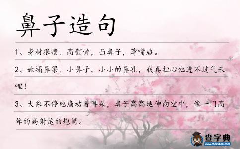 鼻子造句