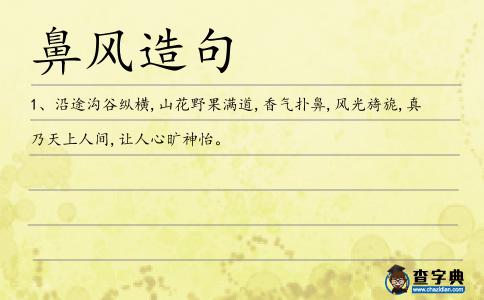 鼻風造句