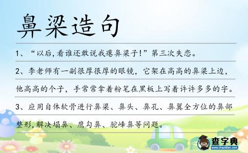 鼻梁造句