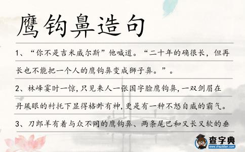 鷹鉤鼻造句