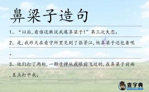 鼻梁子造句
