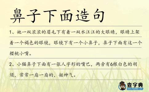 鼻子下面造句
