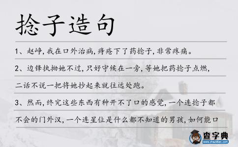 捻子造句